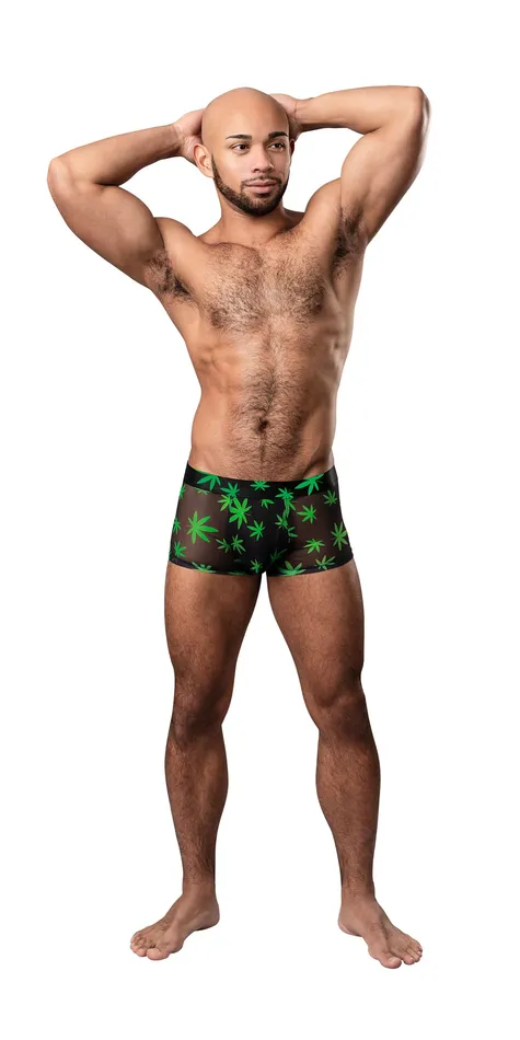 Male Sex Toys Hazy Dayz Pouch Short Small Pot Leaf Male Power