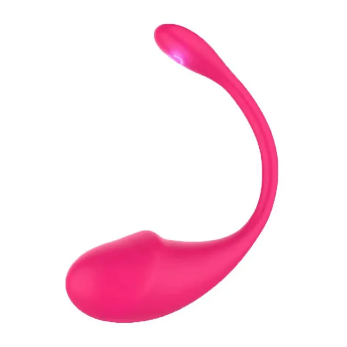 Playfulsextoy Vibrators Bluetooth Love Egg Vibrator for Women