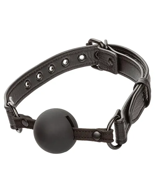 Male Sex Toys CalExotics Nocturnal Collection Silicone Ball Gag