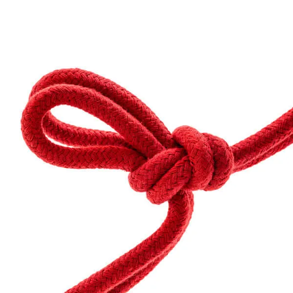 Restraints Blush Novelties Temptasia Bondage Rope 32 Feet Red